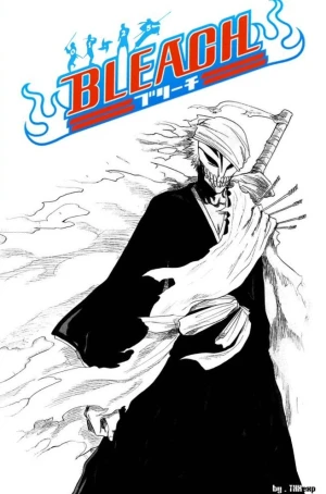 Bleach - Integrale